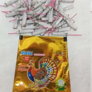 Nattu bijili vedi